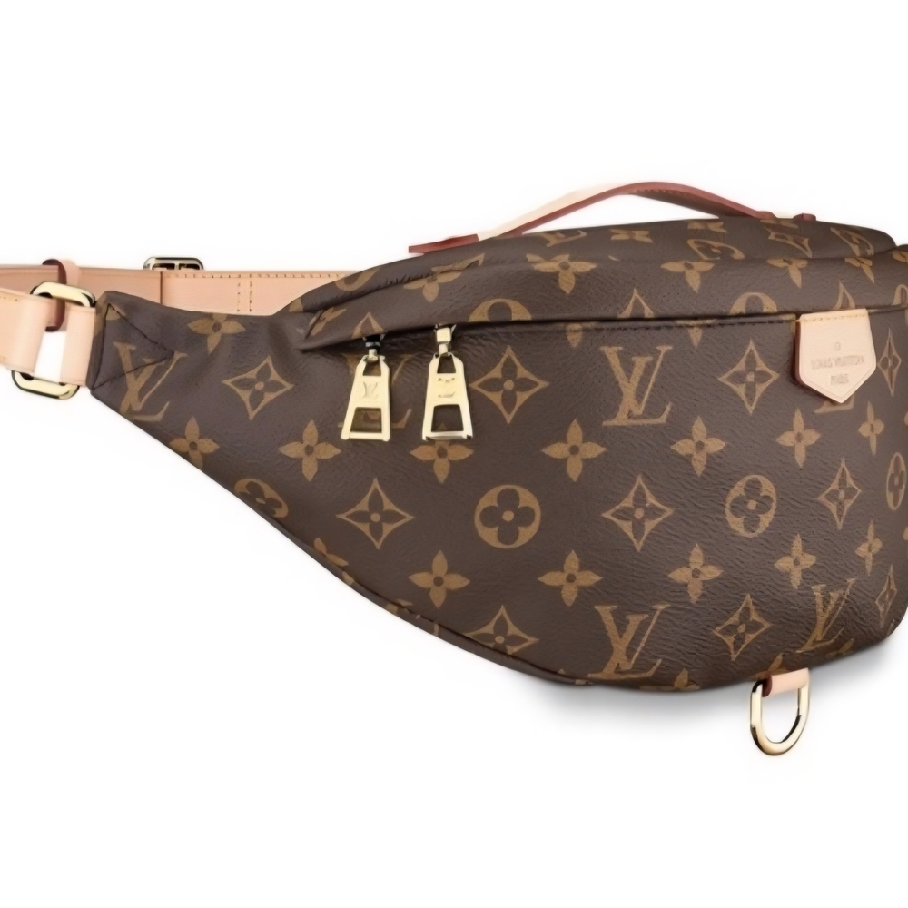 Louis Vuitton Monogram Bumbag